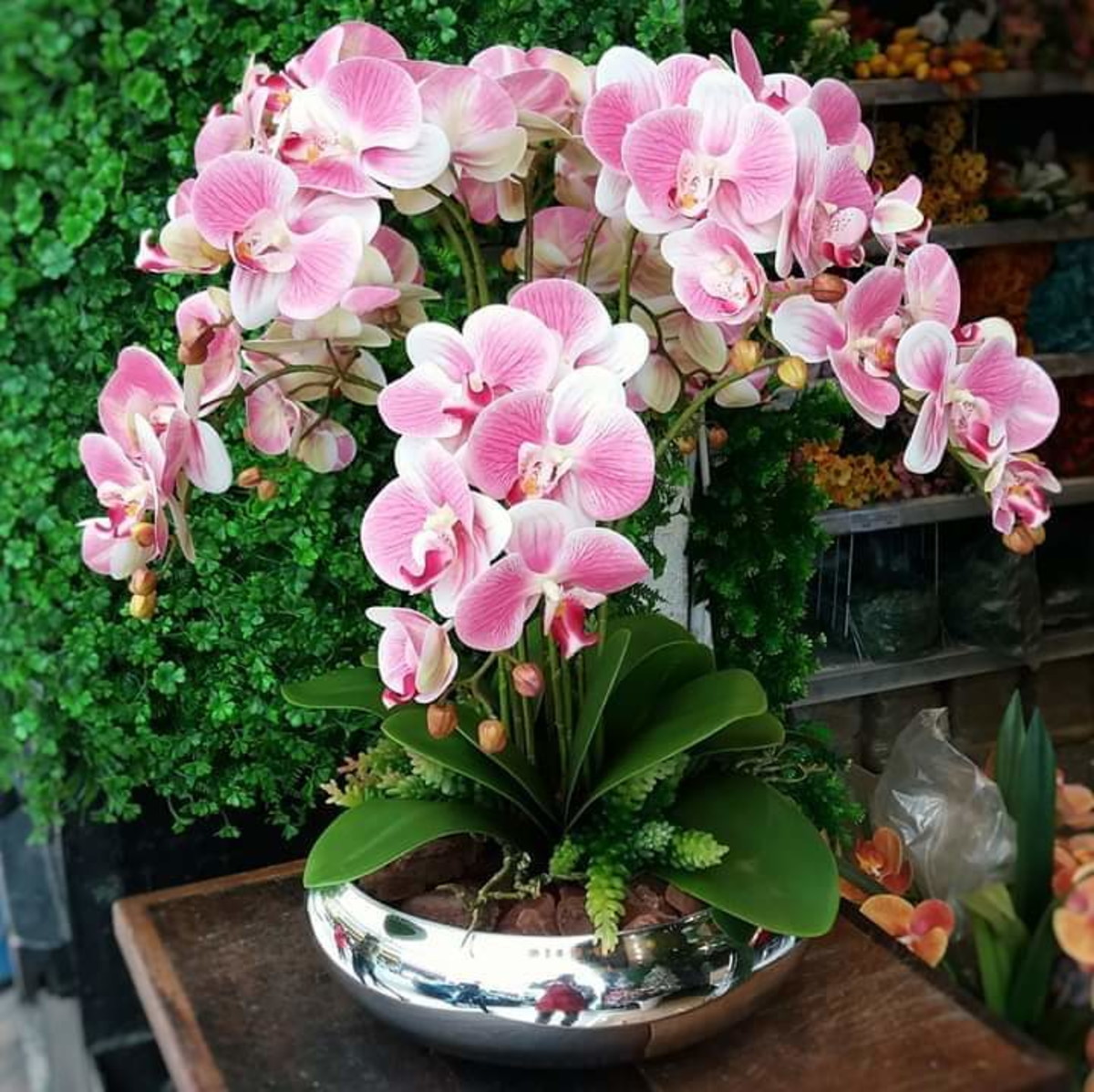 Qual melhor adubo para orquídeas?