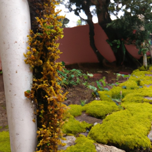 Fitas de Musgo: Crie Uma Atmosfera Única no Seu Jardim