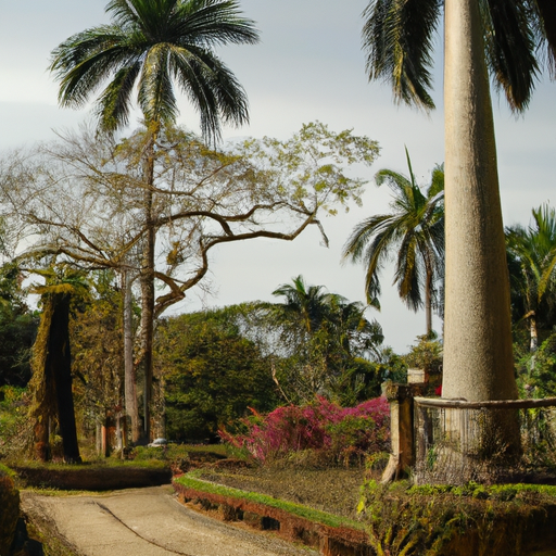 Jardins Botânicos de Havana, Cuba