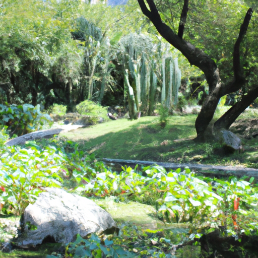 Jardins Botânicos de Monterrey, México